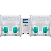 Dual anaerobic chambers with oxygen and hydrogen monitoring system