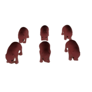 Modely novorozenců myší