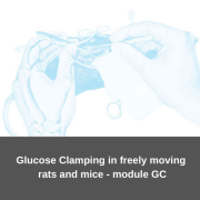 Glucose Clamping in freely moving rats and mice course - module GC course